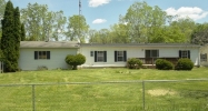 1110 N Elm Ave Jackson, MI 49202 - Image 799467