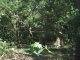 1578 Grove Point Rd Savannah, GA 31419 - Image 853150