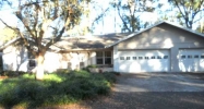 19203 Hobbs Ct Lutz, FL 33548 - Image 872299