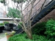 2428 Forest Brook Ln Apt 1108 Arlington, TX 76006 - Image 891573