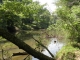 Baughn Road Jasper, AL 35503 - Image 974388