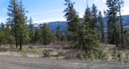 Lot 1 Lower Brookside Cle Elum, WA 98922 - Image 1092105