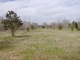 37236 Highway 74 Geismar, LA 70734 - Image 1302721