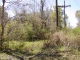 Coco Rd. Geismar, LA 70734 - Image 1302723