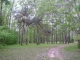 6475 Highway 61 Woodville, MS 39669 - Image 1370052