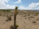 Cote and Blue Diamond raw land Las Vegas, NV 89161 - Image 1626263