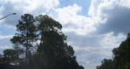 501 Sw 75th St #g10 Gainesville, FL 32607 - Image 1708082