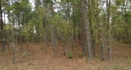Lot12w 93rd Street Ocala, FL 34481 - Image 1887082