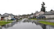 3806 231st Street Court East Spanaway, WA 98387 - Image 2050453