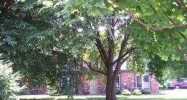 635g Rosetta Drive Saint Louis, MO 63135 - Image 2105663