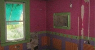 6341 Tulip St Philadelphia, PA 19135 - Image 2167299
