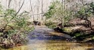 120 ACRE FUNNEL CREEK RD Crossville, TN 38555 - Image 2224409