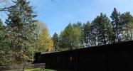 1690 Milton Rd Perry, MI 48872 - Image 2264987