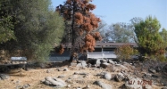 30877 Badger Ct Coarsegold, CA 93614 - Image 2280451