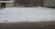 408 Homewild Ave Jackson, MI 49201 - Image 2285373