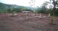 Pr 5568 Int Condes Comm Cuchilla Bo Cuchillas Morovis, PR 00687 - Image 2287708
