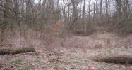 5005 Gale Rd Granville, OH 43023 - Image 2310664