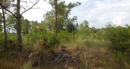 3308 43 Street W Lehigh Acres, FL 33971 - Image 2434222