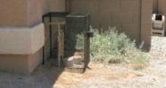 2613 W Maldonado Rd Phoenix, AZ 85041 - Image 2439858