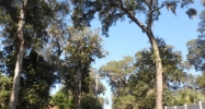 3860 Shady Lane Jacksonville, FL 32277 - Image 2455763
