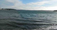 8597 E Caraway Rd Port Orchard, WA 98366 - Image 2456986