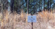 Lot 59 Sec 1 Keowee Sprgs (Apn# 413 Six Mile, SC 29682 - Image 2471603