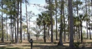 , Belfair (Apn# R600-023-00 Bluffton, SC 29910 - Image 2477351