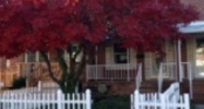 106 Riverthorn Rd Middle River, MD 21220 - Image 2492863