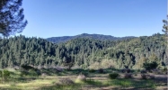 5800 Dry Creek Rd Oakville, CA 94562 - Image 2532971