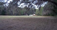 3310 MELLONVILLE AVE Sanford, FL 32773 - Image 2534850