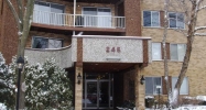 245 S Park Ln Unit 308 Palatine, IL 60074 - Image 2561358