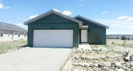 Trout Creek Drive Fairplay, CO 80440 - Image 2636589