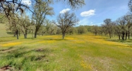 18175 Ranch Road Allentown, PA 18175 - Image 2644333