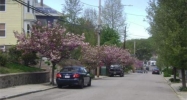 Kittredge St Roslindale, MA 02131 - Image 2664386