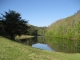 4162 Snyder Rd Kodak, TN 37764 - Image 2696656