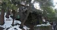 354 Hillside Rd Lake Arrowhead, CA 92352 - Image 2754737