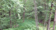 80 Joyce Street Moosic, PA 18507 - Image 2792596
