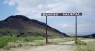 5470 S Rancho Sacatal Willcox, AZ 85643 - Image 2827142