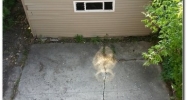 529 N Laramie Ave Chicago, IL 60644 - Image 2870827