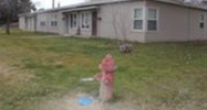 18021808 Montana Ave Caldwell, ID 83605 - Image 2916363