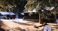 9907 S Deer Creek Rd Littleton, CO 80127 - Image 2950325