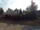 Bridgeport Way West University Place, WA 98467 - Image 3070009