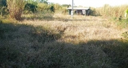 0 SW 248 STREET Homestead, FL 33031 - Image 3087861