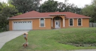 6406 Rhonda Rd Tampa, FL 33615 - Image 3113668