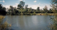 9247 post branch Newport, MI 48166 - Image 3125037