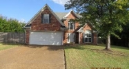 9015 Lakeside Cv Olive Branch, MS 38654 - Image 3166100