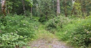 40404 70th Dr Snoqualmie, WA 98065 - Image 3199021