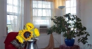 Commonwealth Ave. 12a/13 Brighton, MA 02135 - Image 3237613