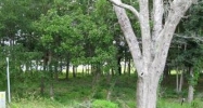 2023 Healing Waters Ln (Apn# 230kc0 Supply, NC 28462 - Image 3250320