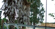 6630 Pombo Lane (Apn# 0134-260-250) Vacaville, CA 95687 - Image 3289313